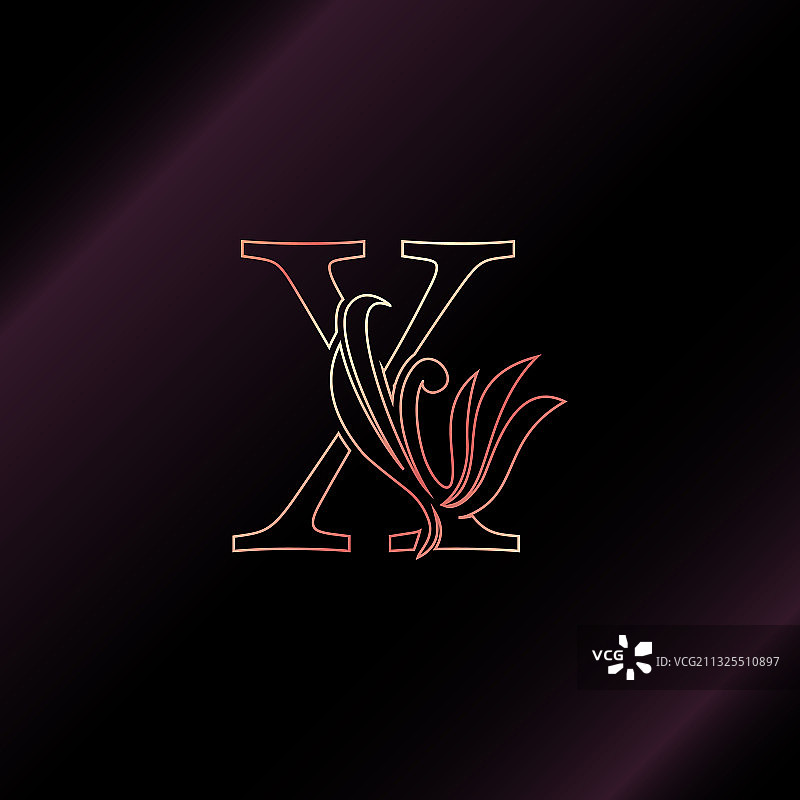 金色玫瑰轮廓字母X奢华装饰图片素材