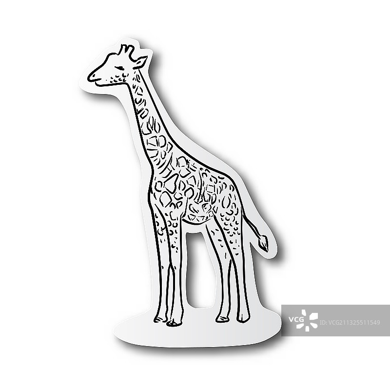 剪纸上的手绘长颈鹿图片素材