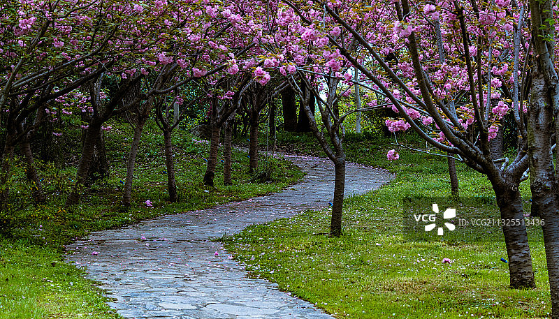 通向花的世界图片素材