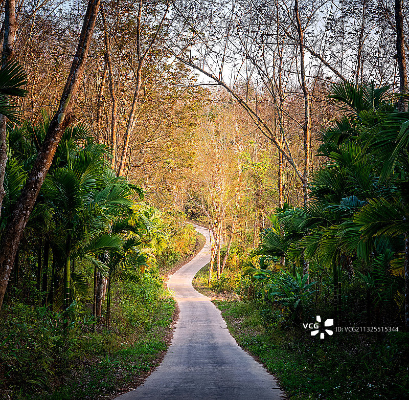 海南山林春色图片素材