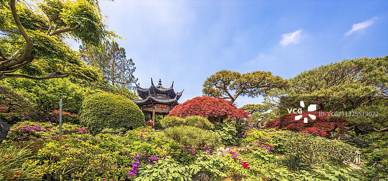 杭州西湖风景名胜区花港公园牡丹亭春景图片素材