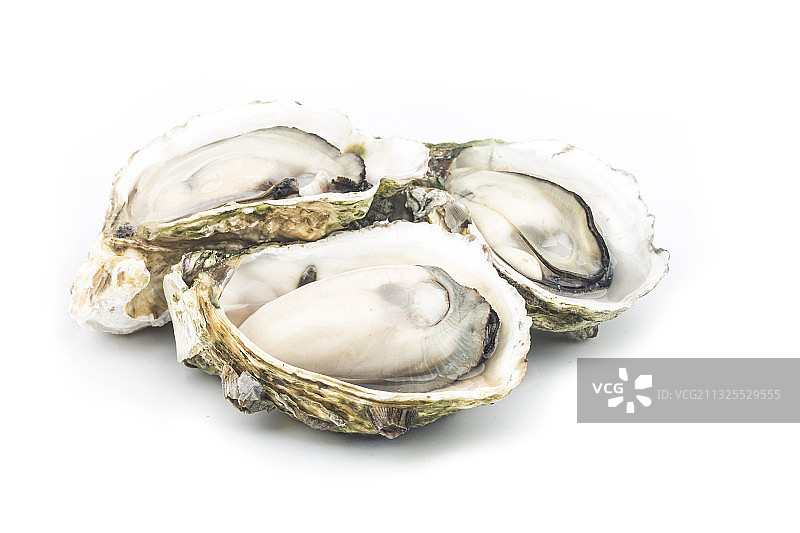 蒸熟的生蚝图片素材