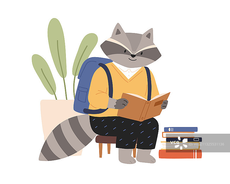 穿着衣服看书的可爱浣熊图片素材