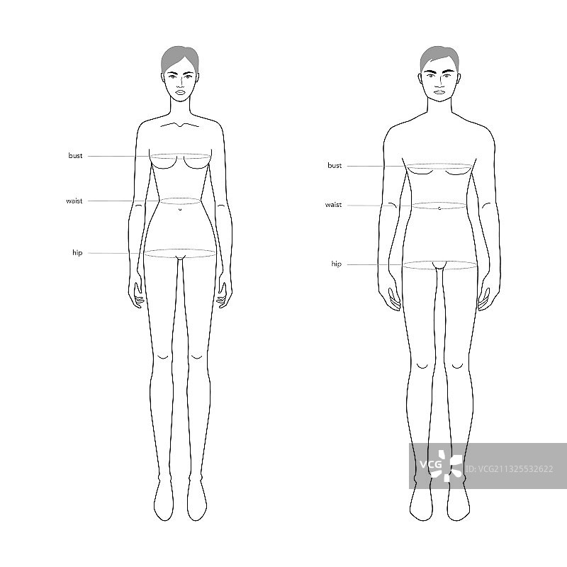 男女标准身体部位术语图片素材