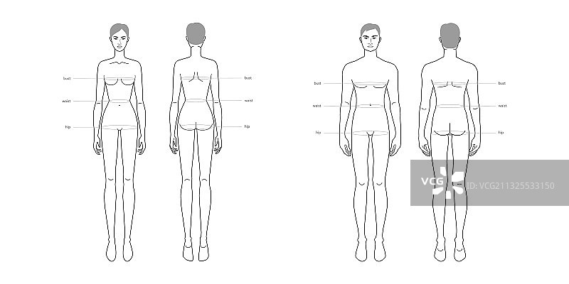 男女标准身体部位术语图片素材