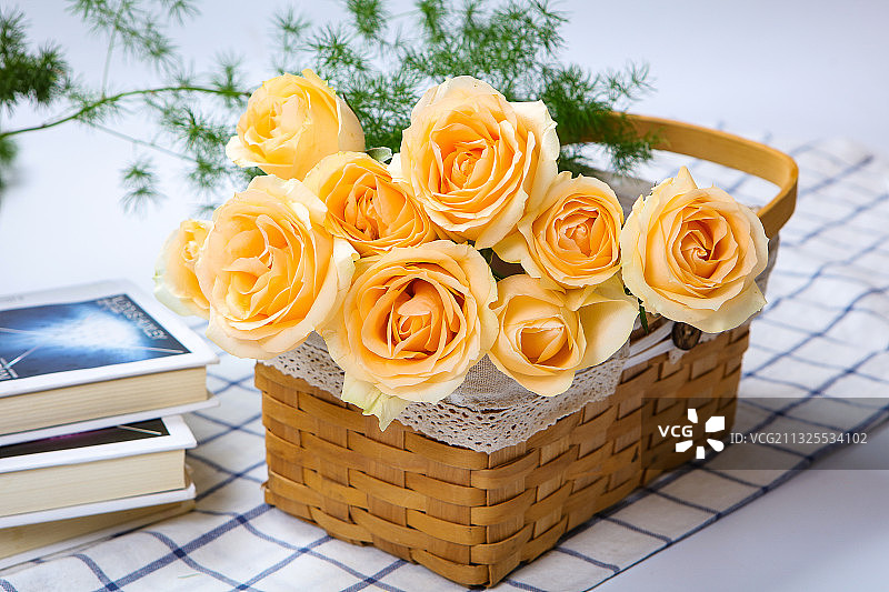 香槟玫瑰花特写图片素材