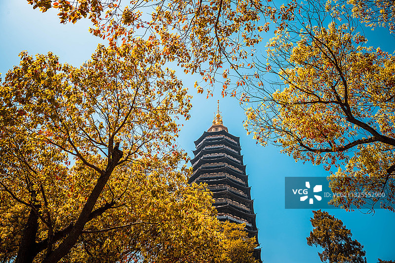 常州红梅公园天宁寺宝塔图片素材