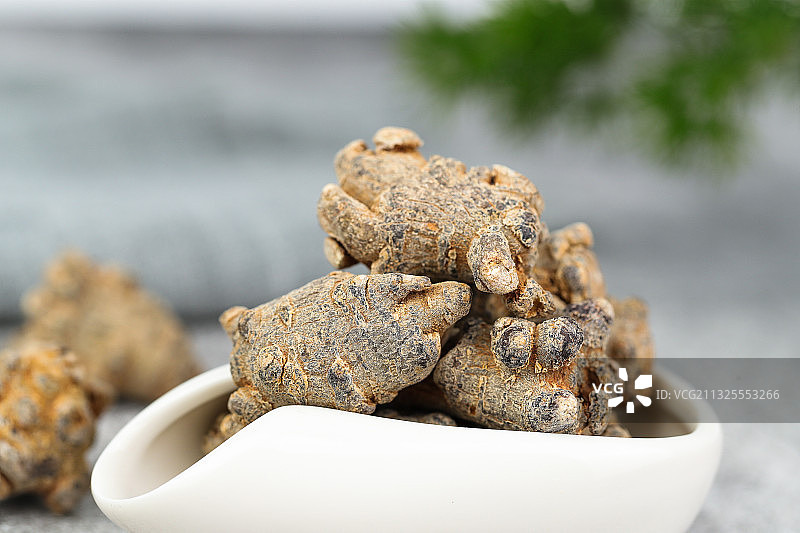 中药材三七图片素材