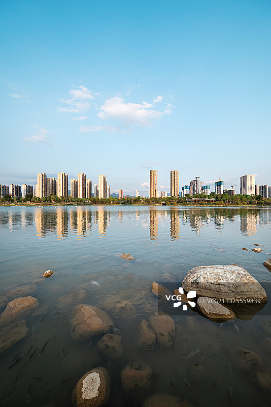 蓝天白云下的城市和湿地公园图片素材