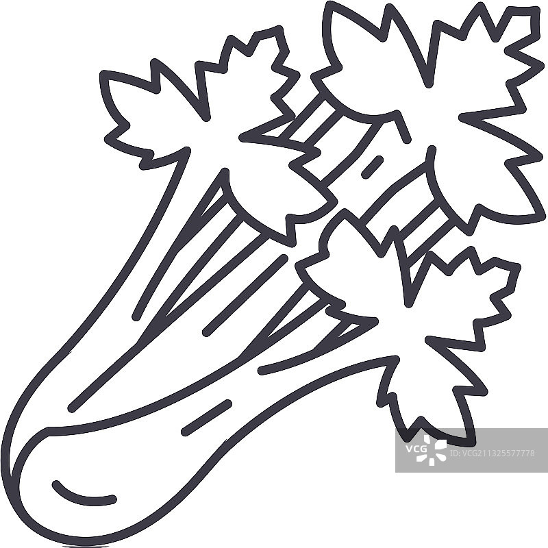 线性芹菜图标图片素材