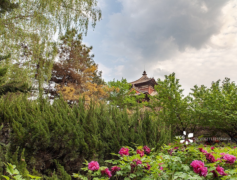 西安青龙寺樱花季图片素材