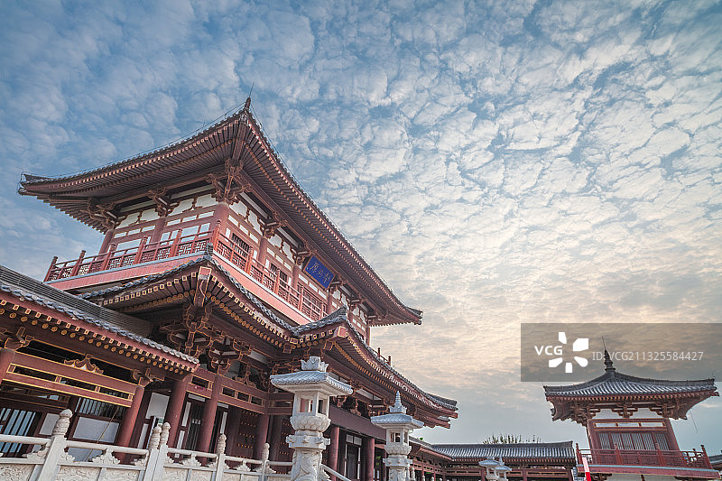 西安青龙寺樱花季图片素材