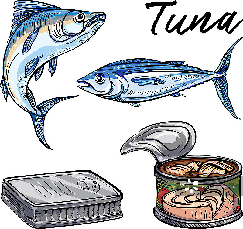 卡通风格的金枪鱼图标图片素材