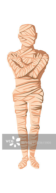 木乃伊制作阶段卡通图片素材