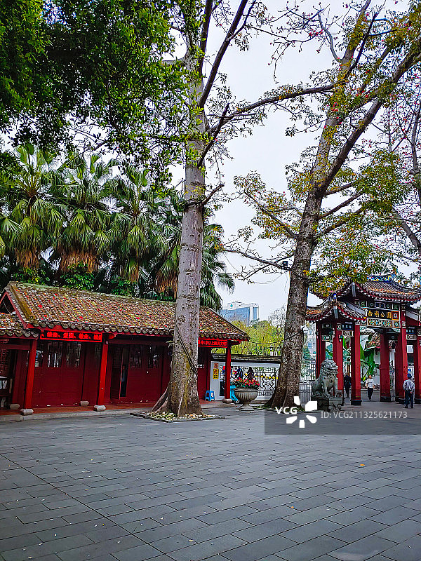 西湖公园图片素材