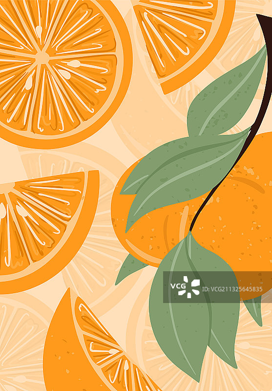 树枝上带叶子的新鲜纹理橙子图片素材