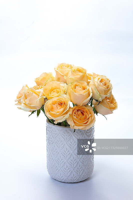 香槟玫瑰花特写图片素材