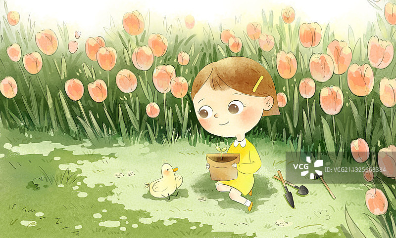 春天郁金香花园图片素材