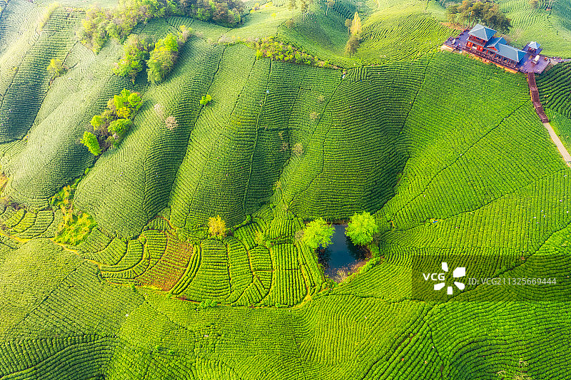 河南信阳5A级旅游景区南湾湖畔浉河港茶园春季户外航拍图片素材