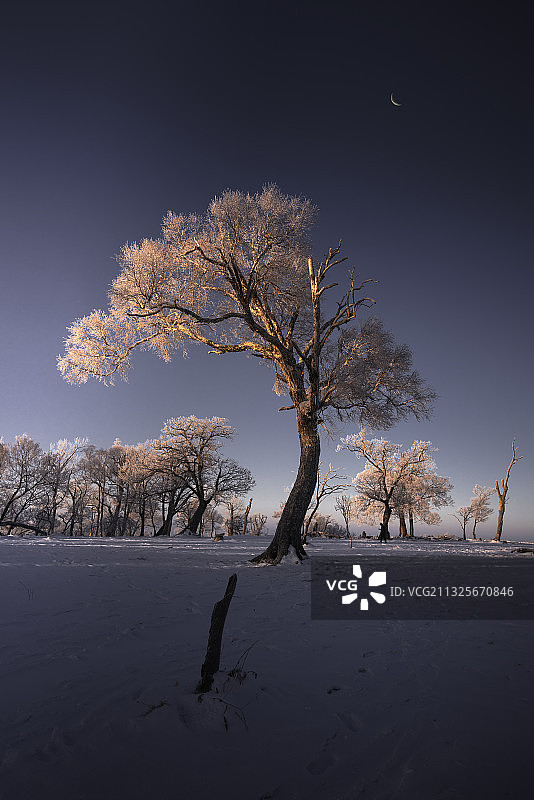 晨曦【通化 四方顶子】图片素材