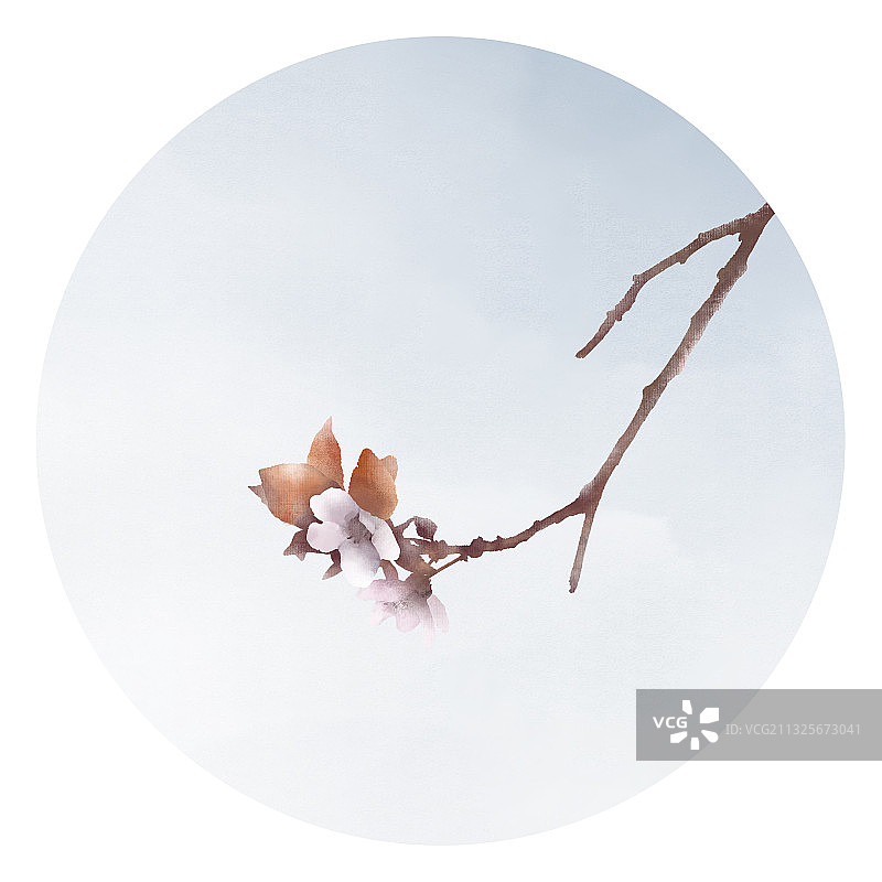 紫叶李插画图片素材