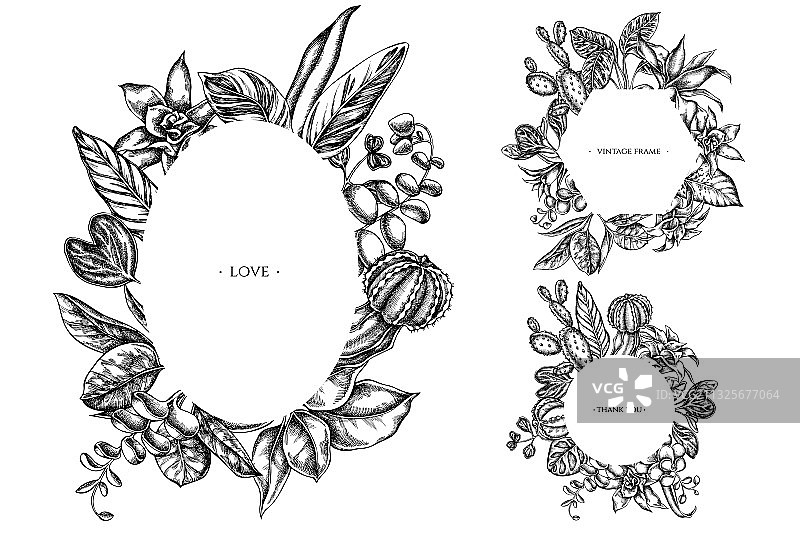 黑白榕树花卉边框图片素材