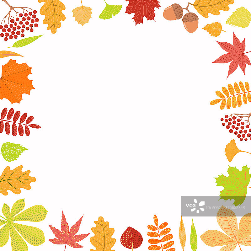 树叶浆果秋季边框图片素材