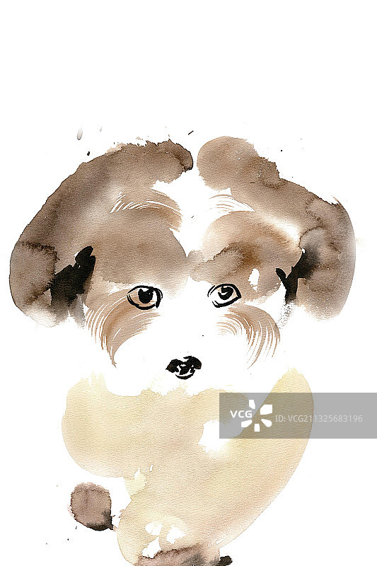 可爱的小狗图片素材