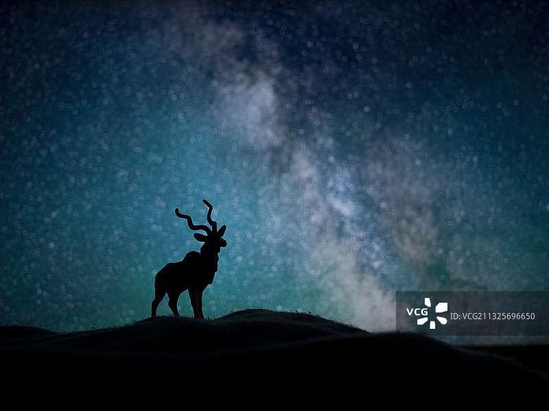 野生动物 银河 微距 剪影图片素材