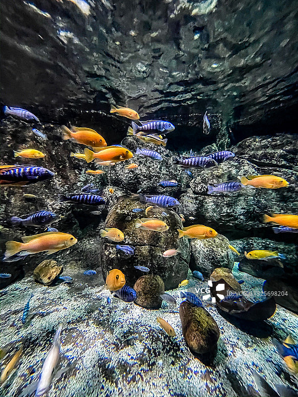 海洋公园海底世界图片素材