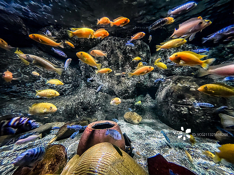 海洋公园海底世界图片素材