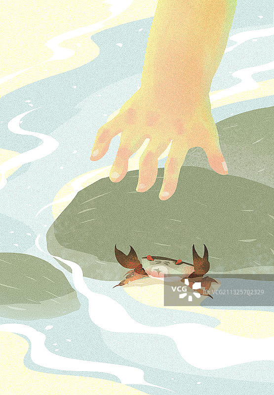 抓螃蟹童年暑假的回忆图片素材