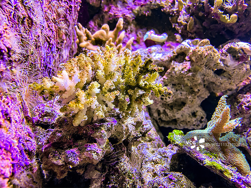 海洋公园海底世界图片素材