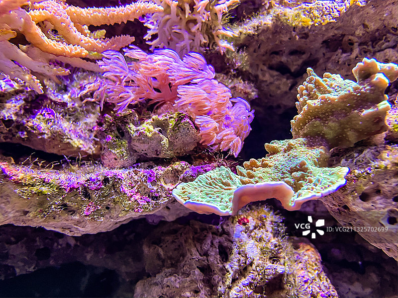 海洋公园海底世界图片素材