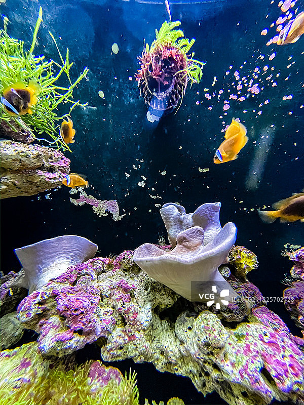 海洋公园海底世界图片素材