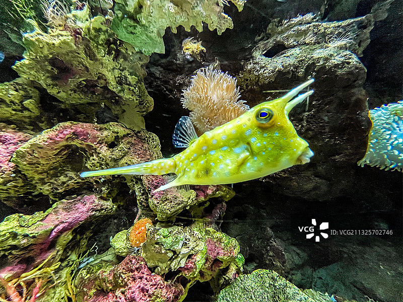 海洋公园海底世界图片素材