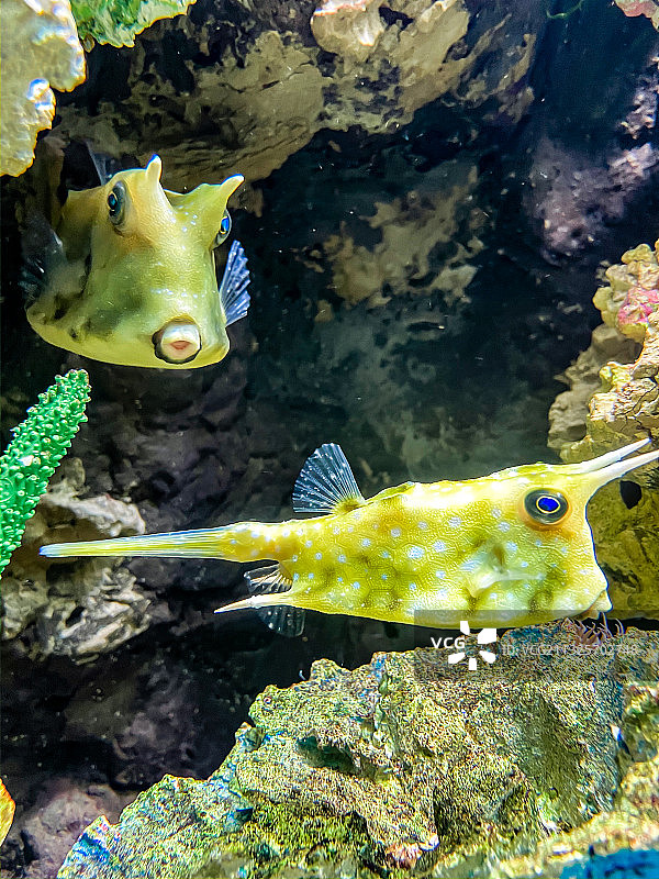 海洋公园海底世界图片素材