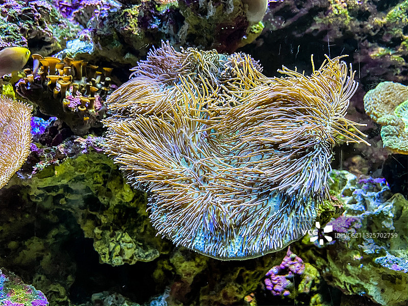 海洋公园海底世界图片素材