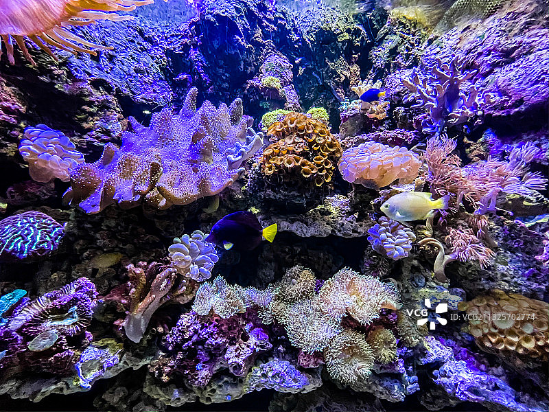 海洋公园海底世界图片素材