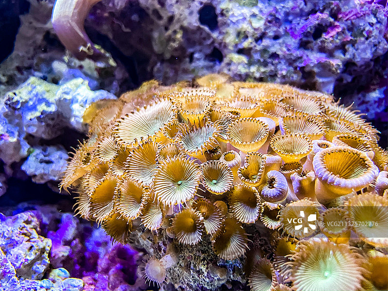 海洋公园海底世界图片素材