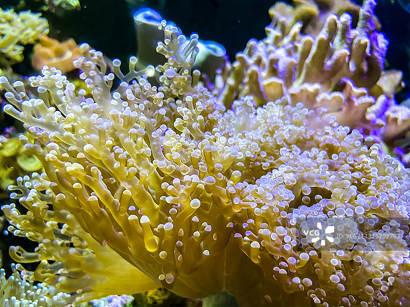 海洋公园海底世界图片素材