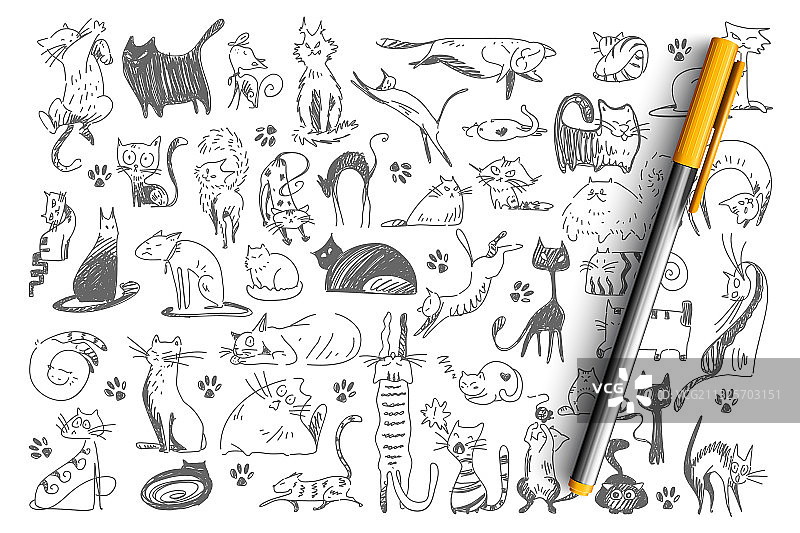 手绘猫咪涂鸦图案图片素材