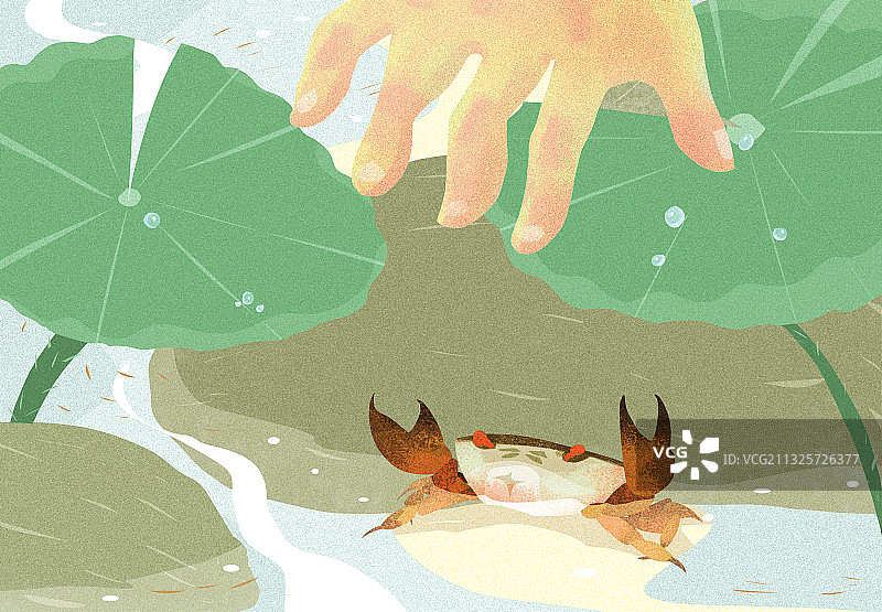 夏天捉螃蟹的孩子图片素材