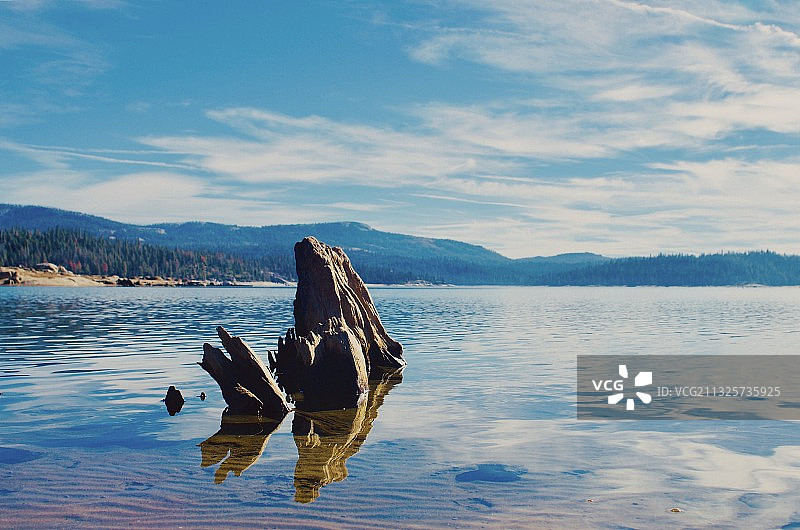 湖面枯木倒影图片素材