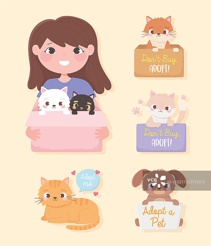 领养宠物：女孩与纸箱中的猫图片素材