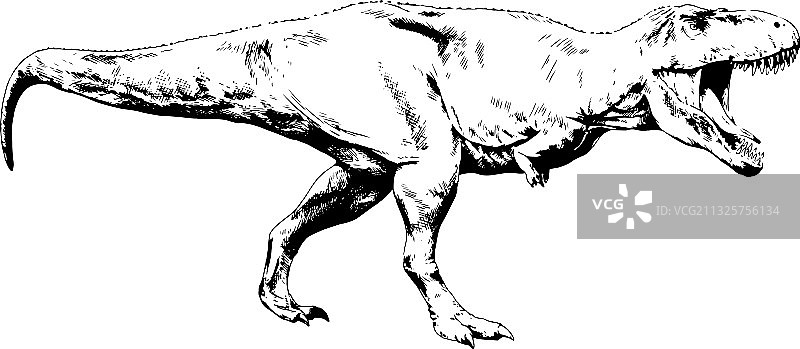 大型食肉恐龙图片素材