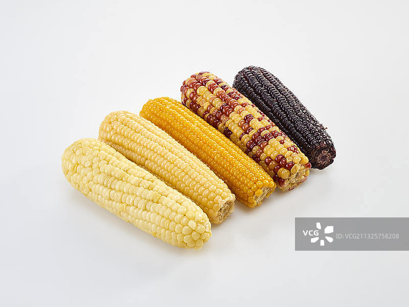 五种品种的玉米图片素材