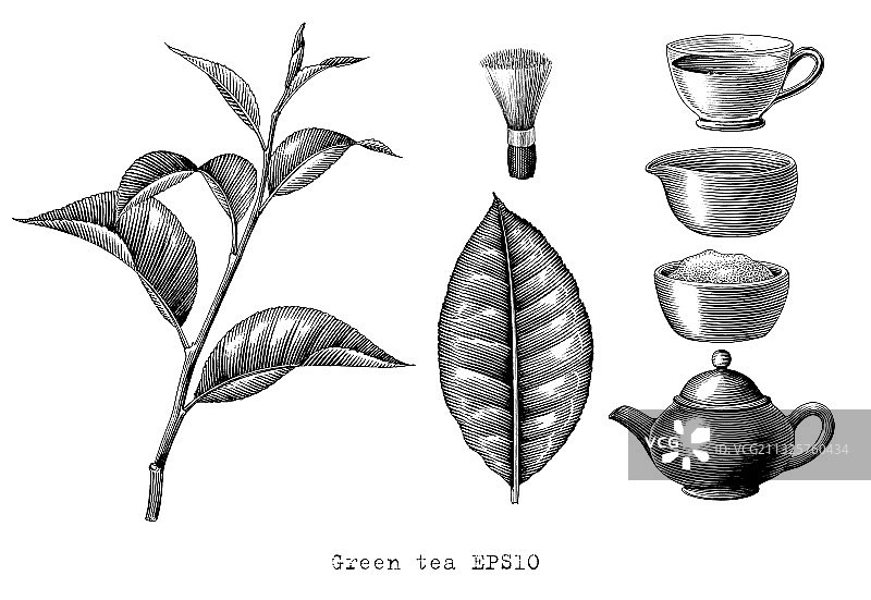 绿茶系列手绘雕刻风格图片素材