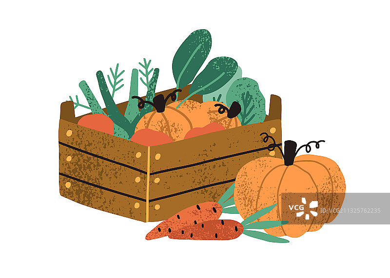 木箱中的本地有机农作物图片素材