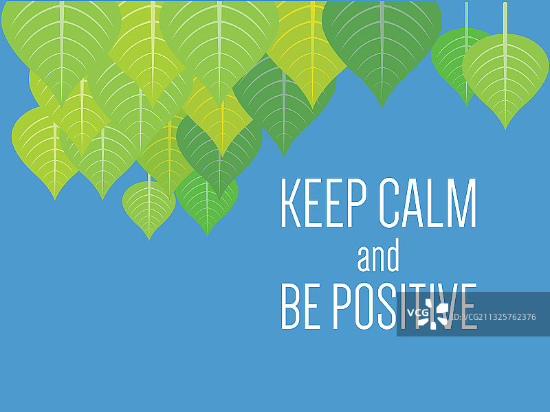 菩提树图片素材